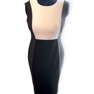 CALVIN KLEIN, Form fitting block colored dress in black/white/gray. Chic, sz 10.